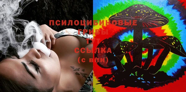 шишки Аркадак