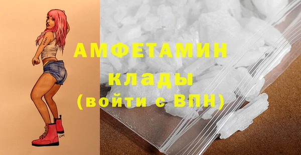 шишки Аркадак