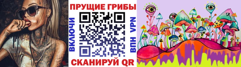 маркетплейс как зайти  купить   Выкса  Псилоцибиновые грибы мухоморы 