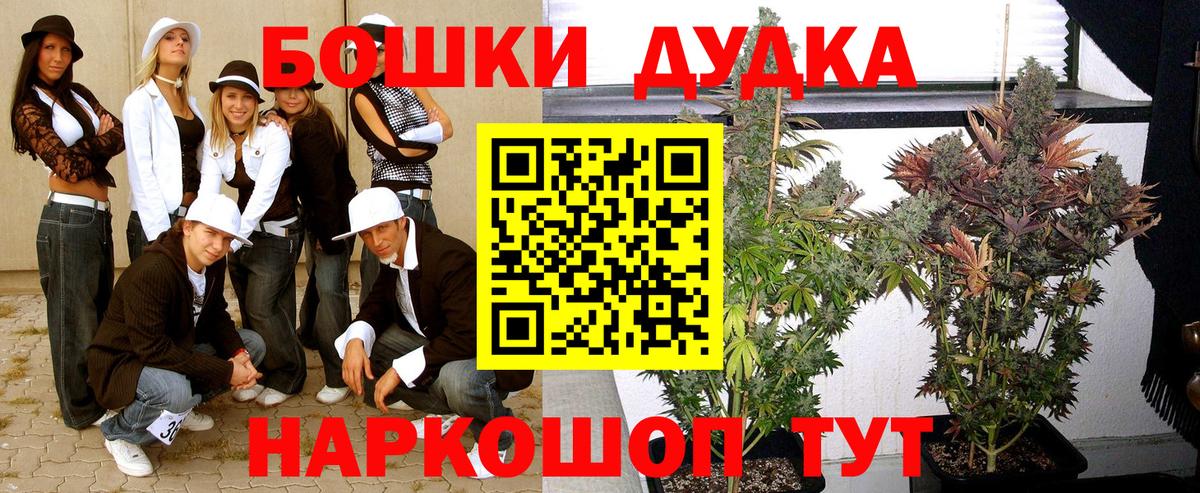 Выкса  Конопля планчик  МАРИХУАНА MAZAR  Вход с VPN  Марихуана марихуана 